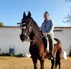 Celina, 31